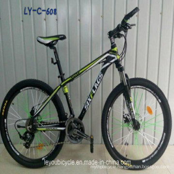 Fashion Design Fat Bicycle with Cool Style (LY-C-608)